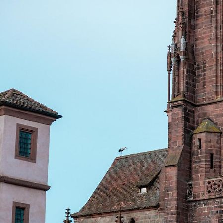 Le Joyau Alsacien - Centre Historique Leilighet Sélestat Eksteriør bilde
